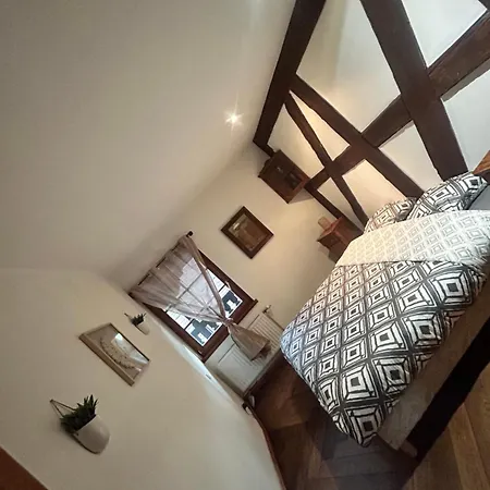 Apartment Typique Alsacien